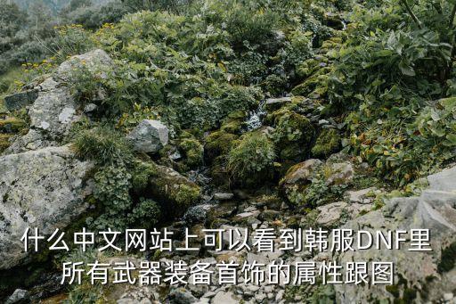 什么中文网站上可以看到韩服DNF里所有武器装备首饰的属性跟图