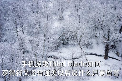 手机游戏Third blade如何获得符文还有通关以后说什么只要留言
