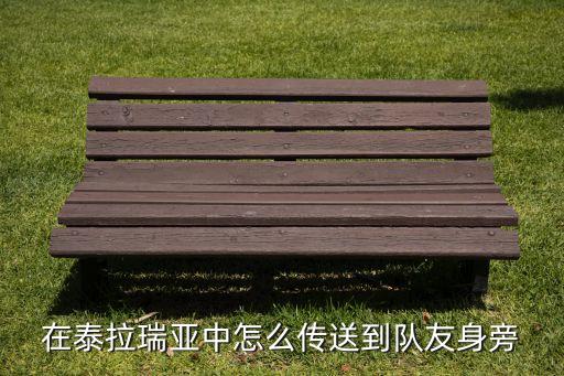 在泰拉瑞亚中怎么传送到队友身旁