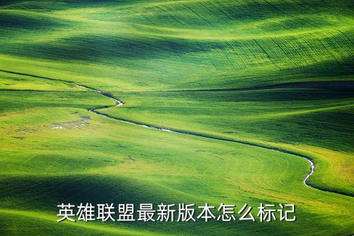 英雄联盟最新版本怎么标记
