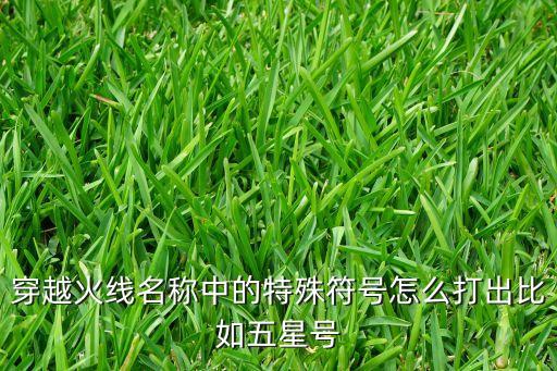 穿越火线名称中的特殊符号怎么打出比如五星号