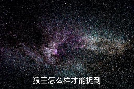 狼王怎么样才能捉到