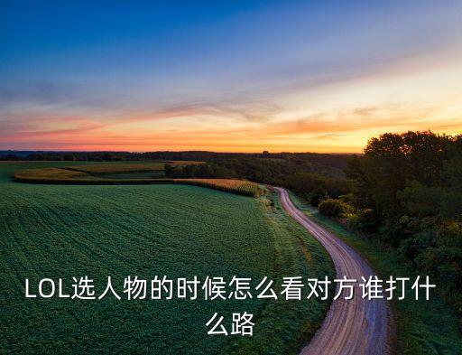 英雄联盟手游选英雄时怎么看线路，LOL选人物的时候怎么看对方谁打什么路