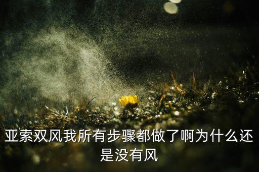 亚索双风我所有步骤都做了啊为什么还是没有风