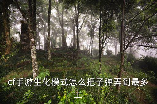 cf手游生化备用弹夹怎么变多，cf手游玩生化怎样才能让备用子弹更多