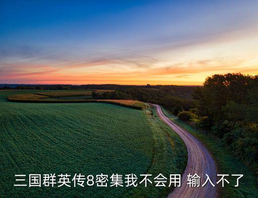 三国群英传8手游怎么输密码，三国群英传8密集我不会用 输入不了