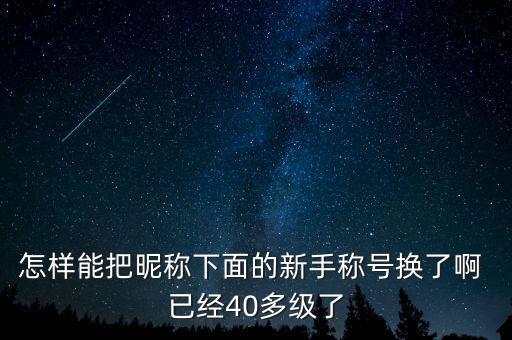怎样能把昵称下面的新手称号换了啊 已经40多级了