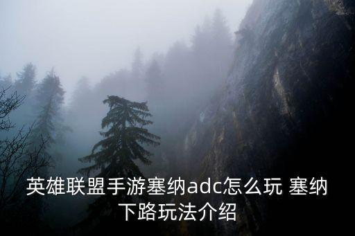 手游塞纳被动怎么计算，塞纳100层被动加多少