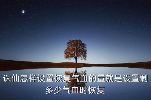 诛仙怎样设置恢复气血的量就是设置剩多少气血时恢复