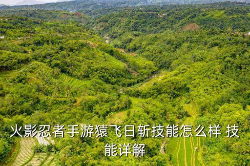 火影忍者手游猿飞日斩技能怎么样 技能详解