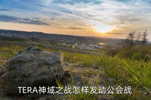 TERA神域之战怎样发动公会战