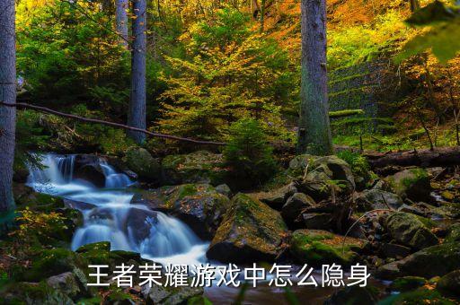 王者荣耀游戏中怎么隐身