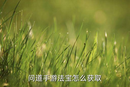 问道手游法宝怎么获取