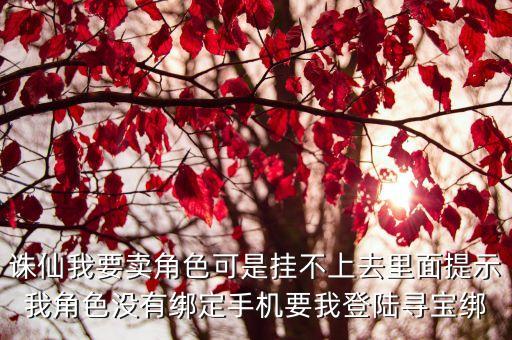 诛仙手游账号怎么挂寻宝平台，诛仙我要卖角色可是挂不上去里面提示我角色没有绑定手机要我登陆寻宝绑