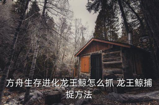 方舟生存进化龙王鲸怎么抓 龙王鲸捕捉方法