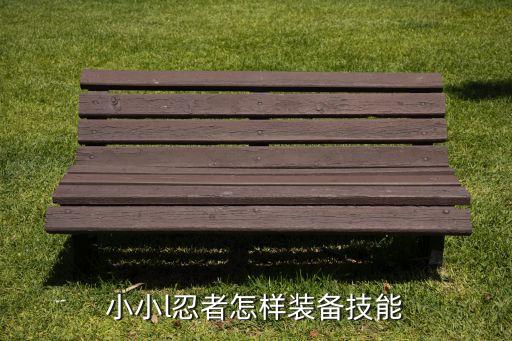小小l忍者怎样装备技能