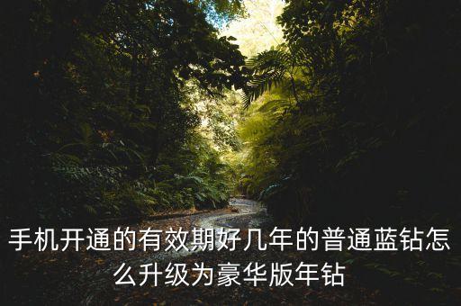 手机开通的有效期好几年的普通蓝钻怎么升级为豪华版年钻