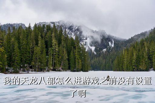 我的天龙八部怎么进游戏之前没有设置了啊