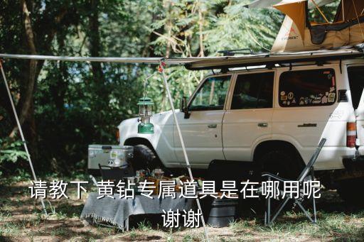 请教下 黄钻专属道具是在哪用呢 谢谢