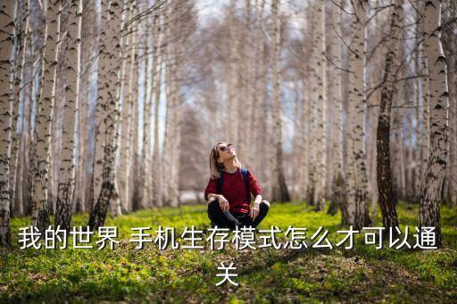 怎么通关我的世界手游，我的世界中怎么才算通关