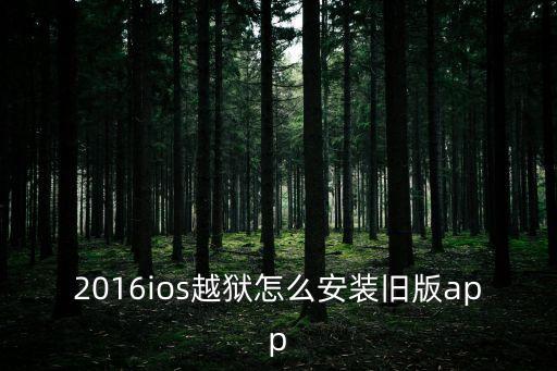 2016ios越狱怎么安装旧版app
