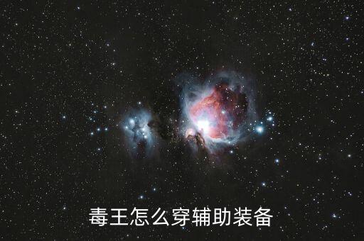 毒王怎么穿辅助装备