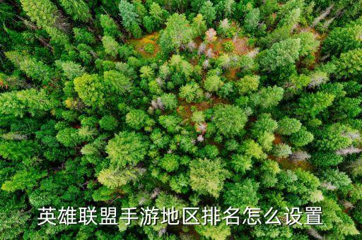 英雄联盟手游地区排名怎么设置