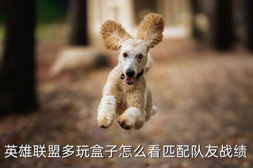 英雄联盟多玩盒子怎么看匹配队友战绩