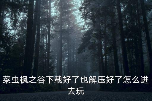 菜虫枫之谷下载好了也解压好了怎么进去玩
