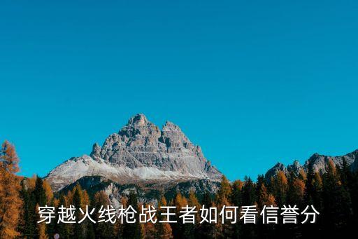 穿越火线枪战王者如何看信誉分