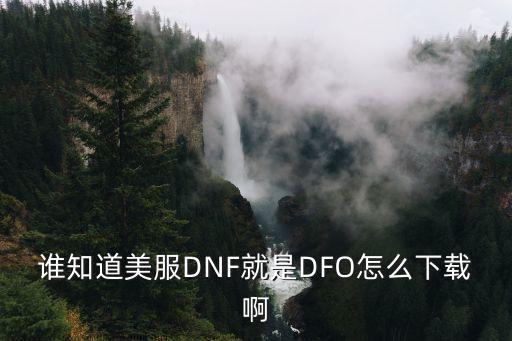 谁知道美服DNF就是DFO怎么下载啊