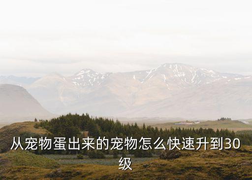 猫和老鼠手游怎么快速到30级，皮卡堂如何快速升级到30级