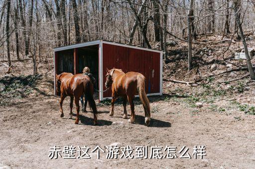 赤壁这个游戏到底怎么样