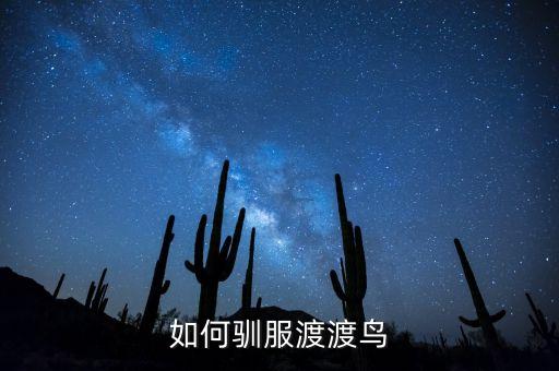 如何驯服渡渡鸟