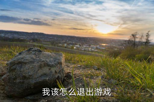 征途口袋版手游怎么退出，怎样退出游戏