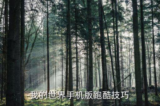 我的世界手游游泳不上岸怎么办，为啥我的美丽水世界在水里不能游泳