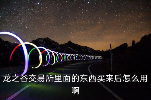 龙之谷交易所里面的东西买来后怎么用啊