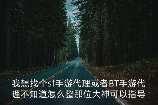 我想找个sf手游代理或者BT手游代理不知道怎么整那位大神可以指导