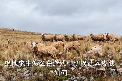 绝地求生怎么在游戏中切换武器皮肤 如何