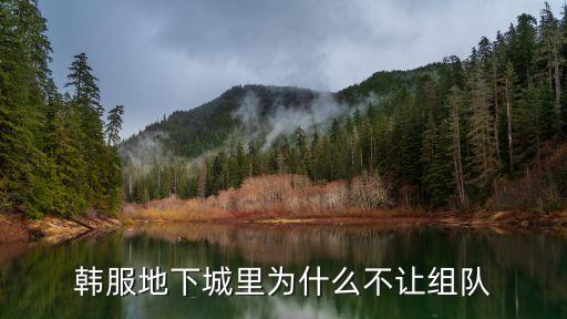 韩服地下城里为什么不让组队