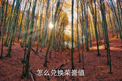 龙之谷手游荣誉积分怎么换，怎么兑换荣誉值