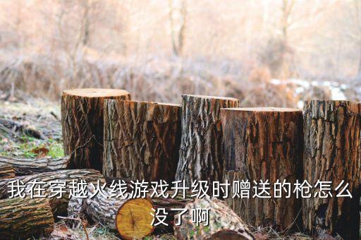 我在穿越火线游戏升级时赠送的枪怎么没了啊