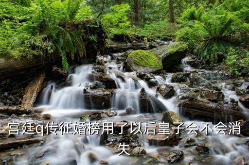 宫廷q传征婚榜用了以后皇子会不会消失