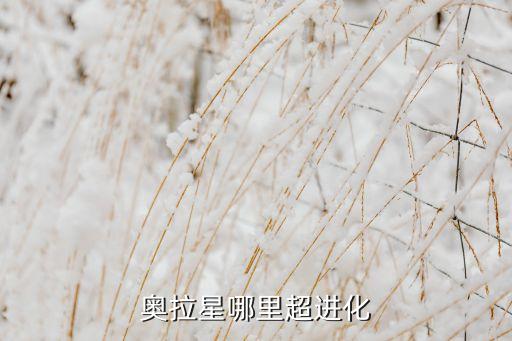 奥利星手游里伊撒尔怎么超进化，奥拉星伊乐超进化怎么得