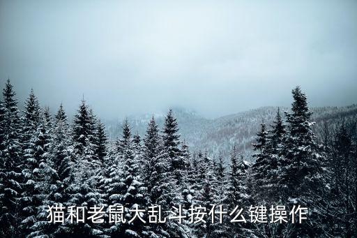 猫和老鼠大乱斗按什么键操作