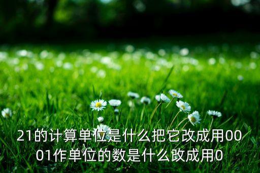 21的计算单位是什么把它改成用0001作单位的数是什么改成用0