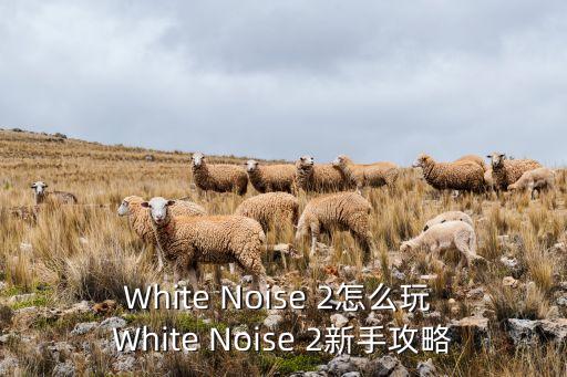 逃跑吧少年能量剑手游怎么玩好，White Noise 2怎么玩 White Noise 2新手攻略