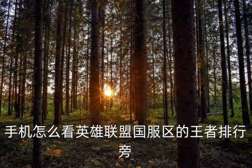 手机怎么看英雄联盟国服区的王者排行旁