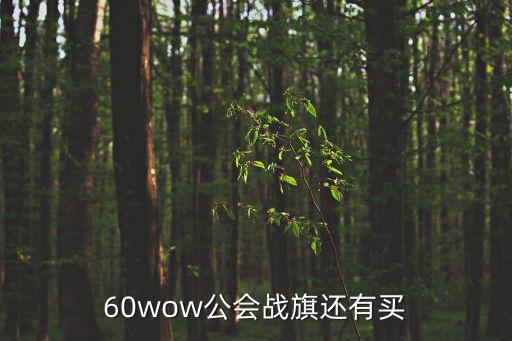 60wow公会战旗还有买