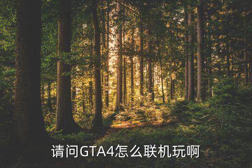 请问GTA4怎么联机玩啊